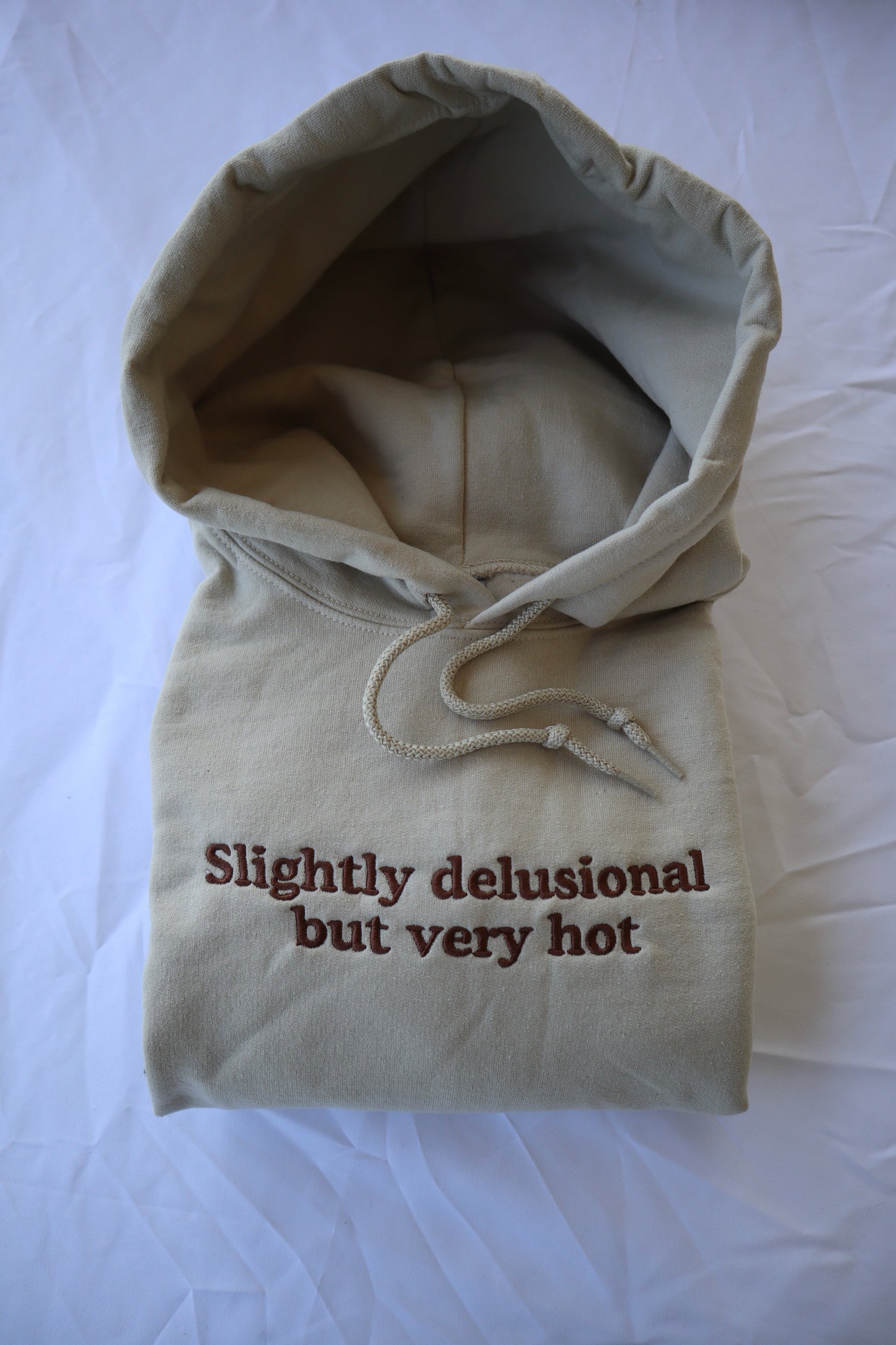 Slightly Delusional but Very Hot, Hoodie or Crew Neck Long Sleeve, Classic fit, Unisex, Adult