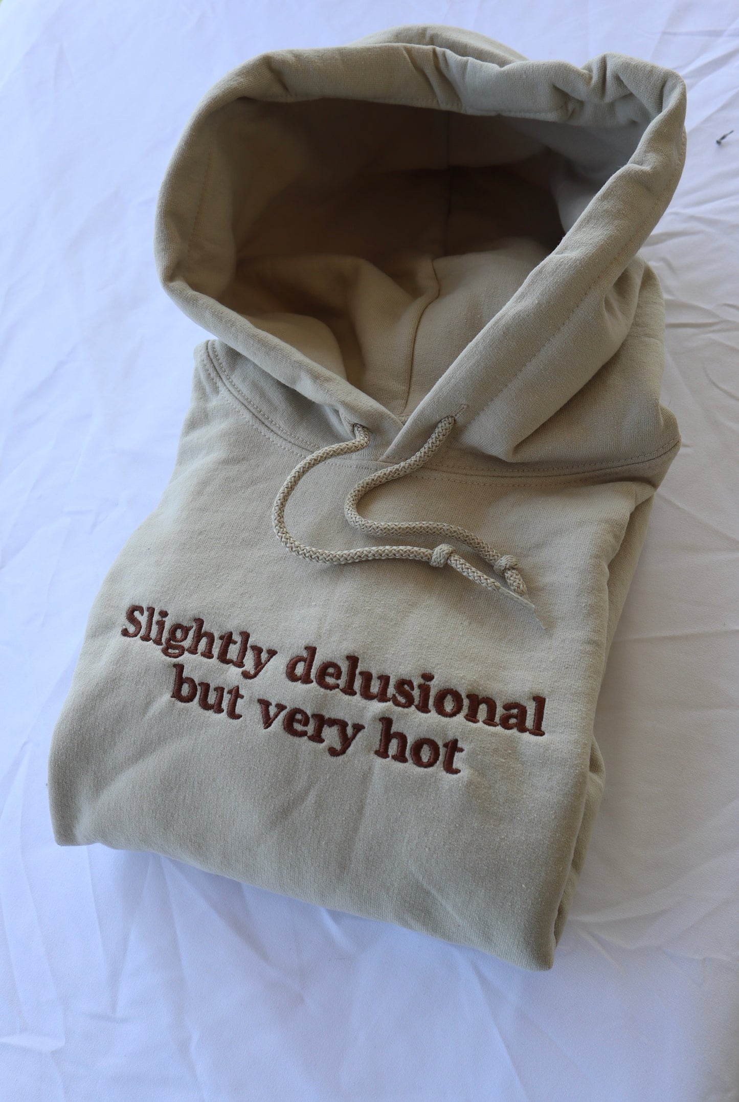 Slightly Delusional but Very Hot, Hoodie or Crew Neck Long Sleeve, Classic fit, Unisex, Adult