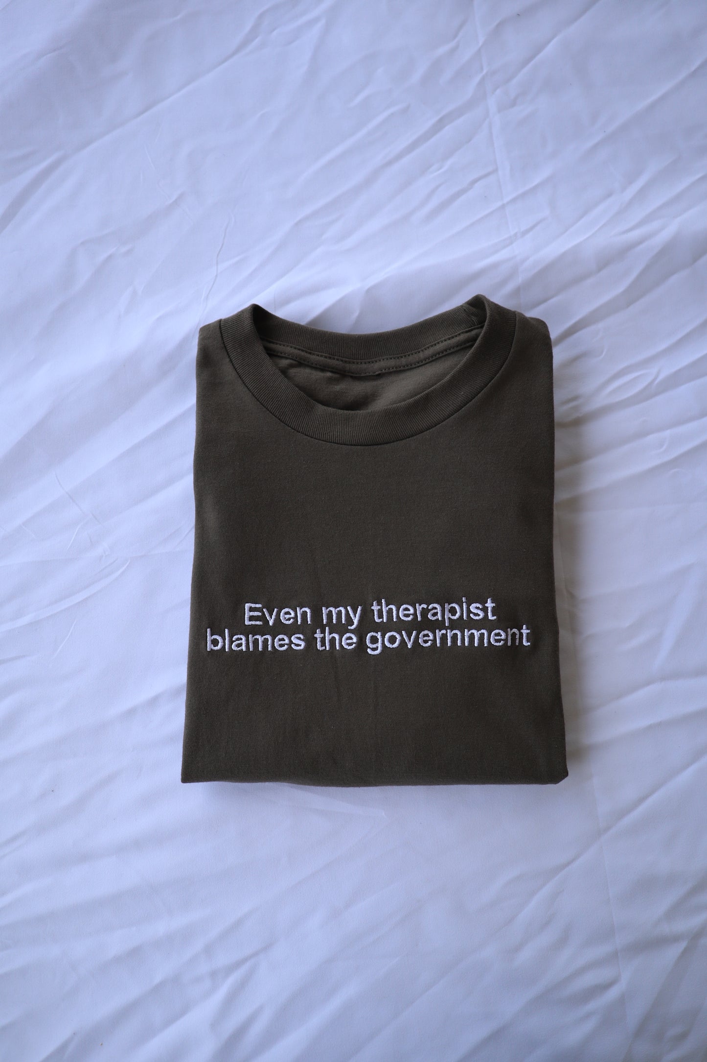 Even my therapist blames the government, Short Sleeve, Modern Classic Fit, Unisex, Adult T-Shirt