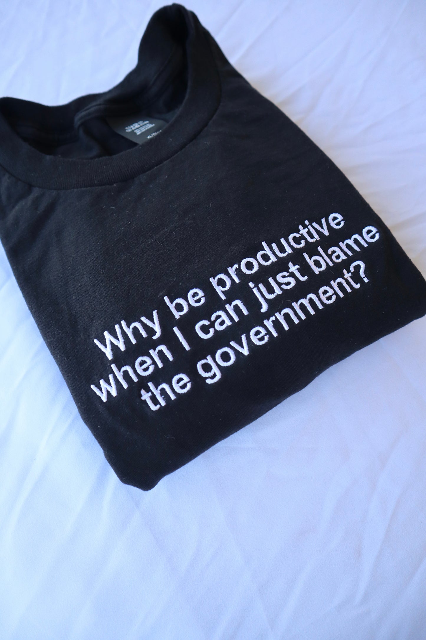 Why Be Productive When You Can Just Blame the Government, Hoodie or Crew Neck Long Sleeve, Classic fit, Unisex, Adult