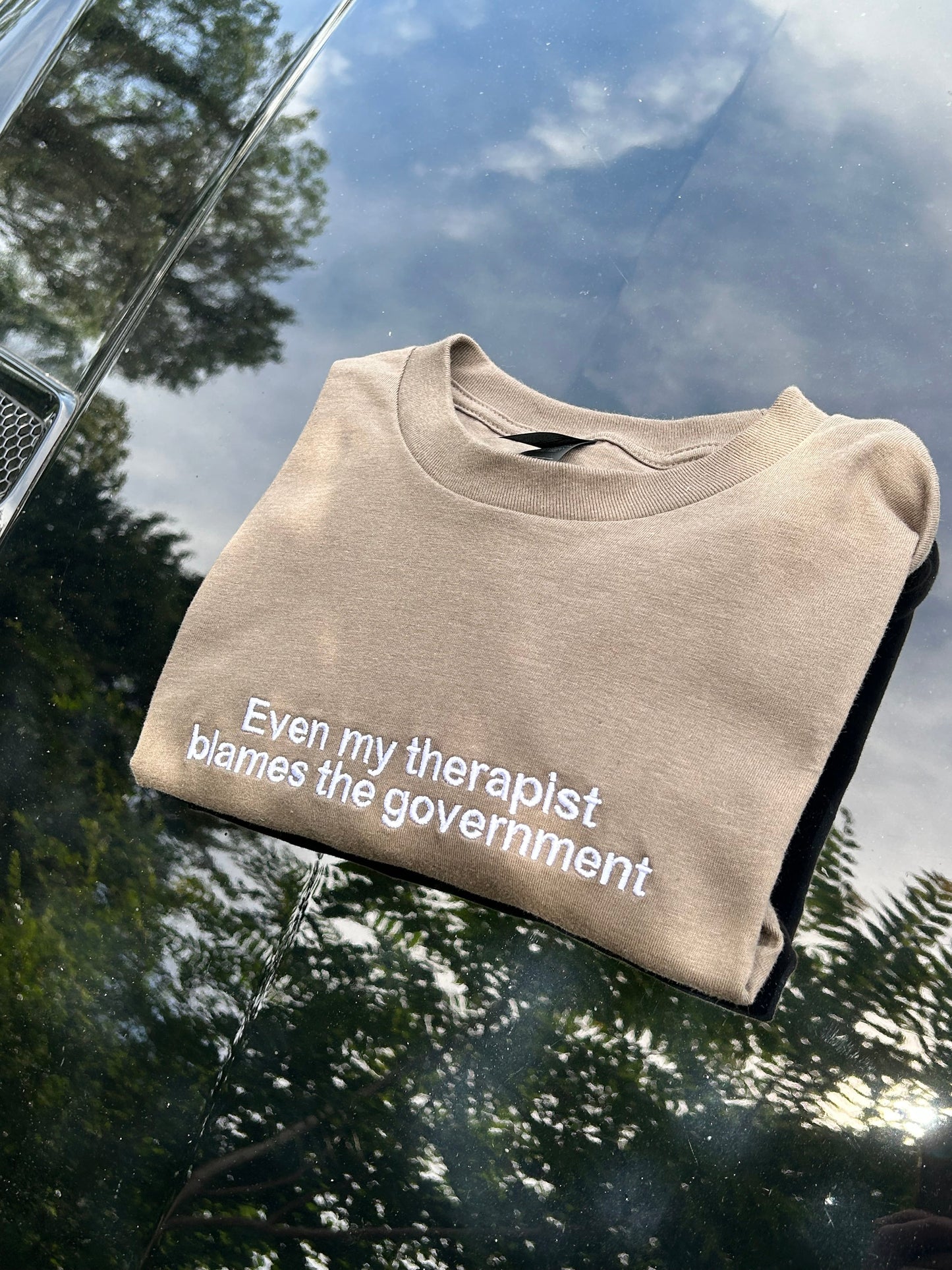 Even my therapist blames the government, Short Sleeve, Modern Classic Fit, Unisex, Adult T-Shirt