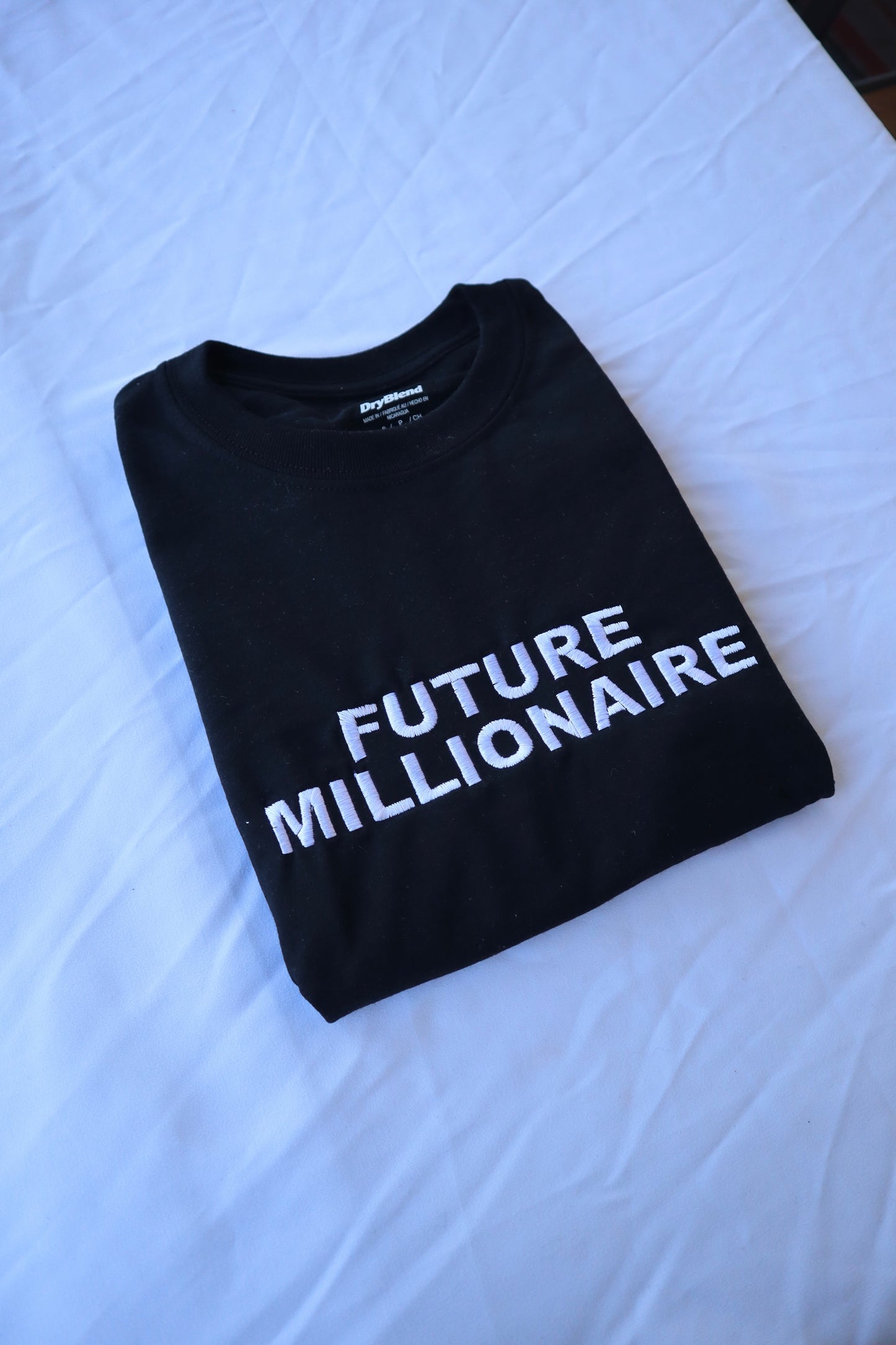 Future Millionaire, Hoodie or Crew Neck Long Sleeve, Classic fit, Unisex, Adult