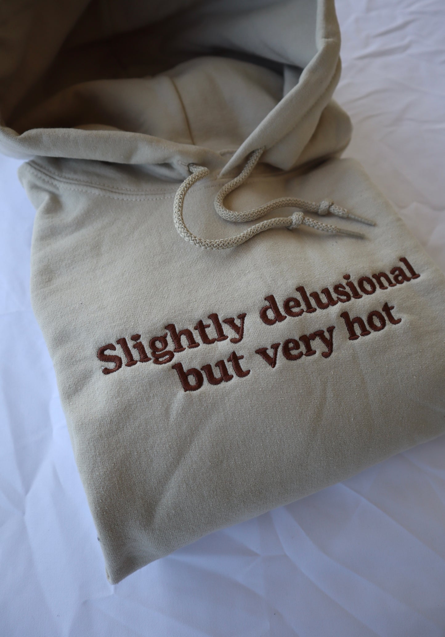 Slightly Delusional but Very Hot, Hoodie or Crew Neck Long Sleeve, Classic fit, Unisex, Adult