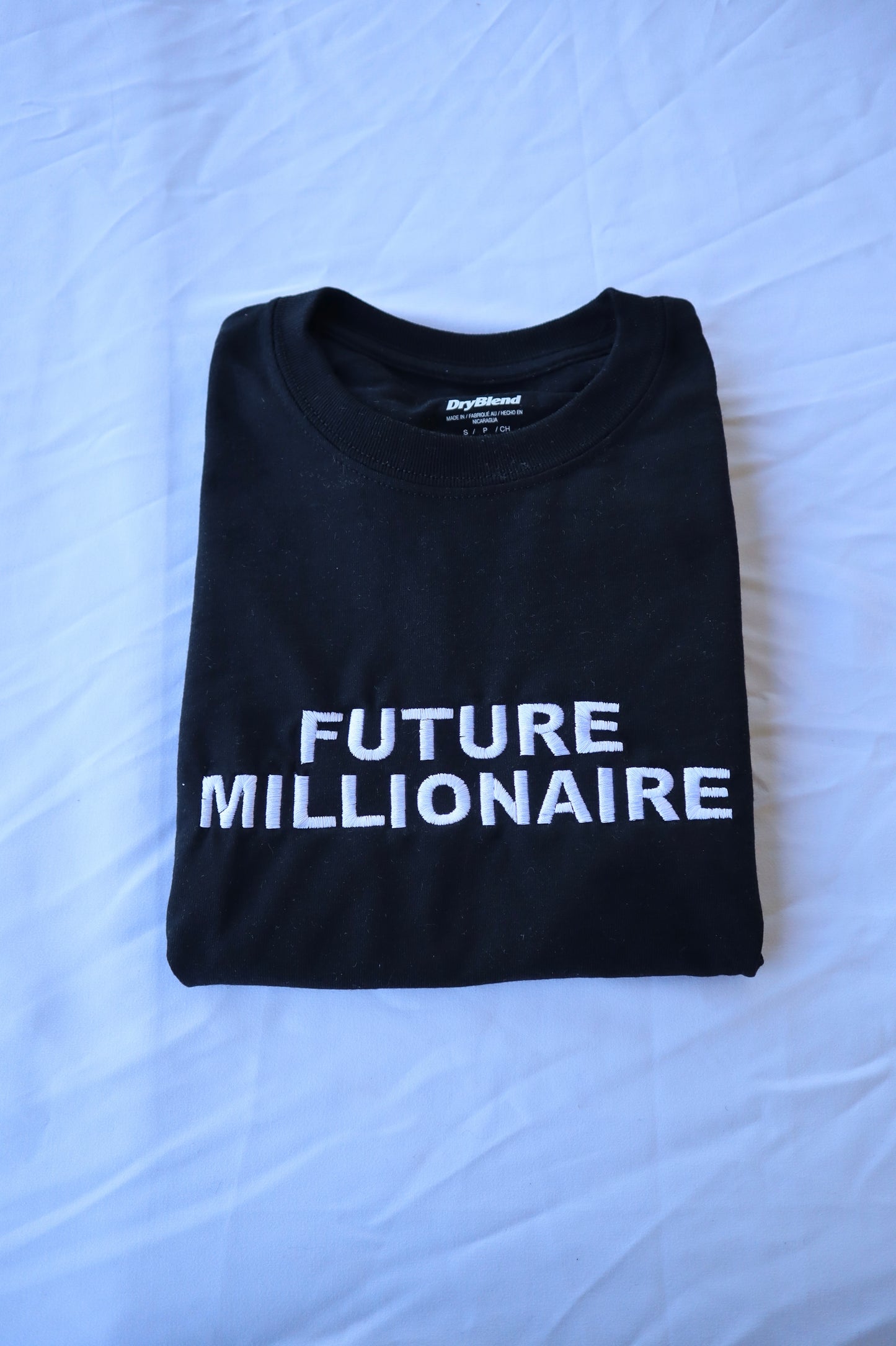 Future Millionaire, Hoodie or Crew Neck Long Sleeve, Classic fit, Unisex, Adult